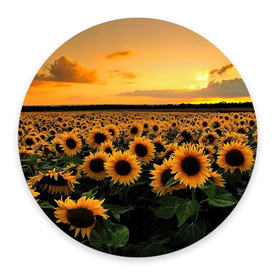 Amazon.com : Sunflower Floral Circle Round Rubber Mousepad
